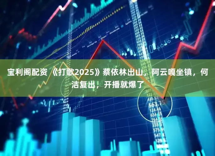 宝利阁配资 《打歌2025》蔡依林出山，阿云嘎坐镇，何洁复出，开播就爆了