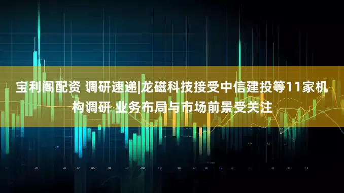 宝利阁配资 调研速递|龙磁科技接受中信建投等11家机构调研 业务布局与市场前景受关注